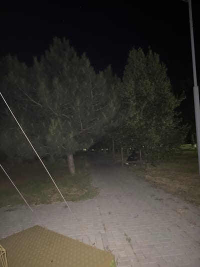 The image depicts an outdoor scene at night, likely in Egorlykskaya, Russia. The primary subjects are two large trees, one appearing to be a deciduous tree with dense foliage, and another, possibly a pine tree, with more sparse, needle-like leaves. Between the trees, a wooden structure resembling a gazebo or shelter is visible, with a person seated inside. The ground is a mix of grass and a paved walkway made of rectangular stones. A white string or wire runs diagonally across the lower portion of the image. The lighting suggests artificial light sources are present, casting a dim glow on the scene and creating dark shadows, indicating it is nighttime. No visible text is present in the image. The overall impression is one of a quiet, possibly tranquil outdoor space at night.