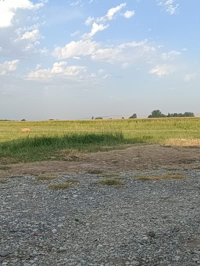 The image depicts an outdoor scene in the city of Arimjan, Kyrgyzstan, characterized by a vast, flat landscape under a partly cloudy sky. In the foreground, a rough, gravelly area dominates the lower portion of the frame. Beyond this, a green field stretches horizontally, dotted with patches of dry grass and what appears to be a small pile of hay or straw. In the mid-ground, the field transitions into a taller, denser grassy area. Further in the distance, a line of trees forms a dark silhouette against the horizon, with rolling hills visible beyond them. The sky is a light blue, populated by scattered white clouds. There are no people visible in the image.
