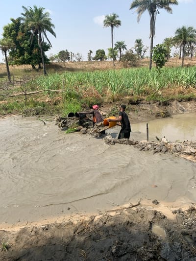 Two people are laboring near a muddy stream or canal, surrounded by vegetation. One person, wearing a yellow shirt, appears to be pouring something, while the other, in dark clothing, seems to be working with a bucket. The landscape is characterized by tall grasses and scattered trees, including palm trees, under a clear sky. The waterway is filled with murky water and lined with muddy banks.
