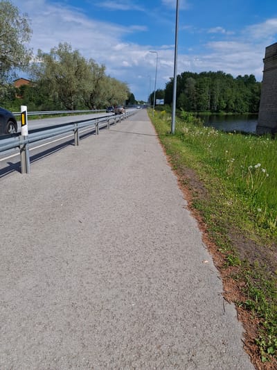 The image captures a sunny outdoor scene, looking along a wide asphalt path or road. The sky, filling the upper left portion, is bright blue with scattered white clouds, indicating clear daytime weather.
In the immediate foreground and extending down the right side, a textured gray asphalt surface dominates. Along its right edge, there's a distinct strip of dried, brown, curled plant matter, which transitions into vibrant green grass dotted with white dandelions. Further to the right, a calm body of water, likely a river or canal, reflects the light. Beyond the water, a dense line of dark green trees forms a natural barrier, with a partial view of a brick building peeking through the foliage on the distant bank.
To the left of the main asphalt path, a metal guardrail, composed of horizontal bars supported by vertical posts, extends into the distance. Beyond this barrier, another road is visible, featuring a series of streetlights receding into the horizon. A few cars are sparsely visible on this distant road. Large, leafy trees with lighter green foliage stand between the asphalt path and the road on the left, particularly in the mid-ground. No people are visible, and no specific activity is taking place. There is no discernible text within the image.