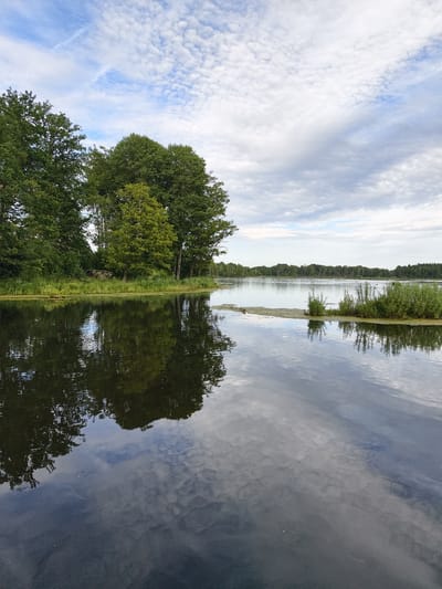 A serene, wide-angle shot captures a tranquil lake scene in Slaka, Sweden. The foreground is dominated by the dark, reflective surface of the water, mirroring the lush green trees lining the far bank and the dramatic cloudy sky above. Patches of lighter green vegetation, including reeds and what appears to be algae, float on the water's surface closer to the shore.

On the left side of the image, a dense line of trees forms a natural boundary. These trees are varied in height and foliage, with some appearing taller and more established than others. The greenery is vibrant, suggesting a time of year with ample growth.

The sky is a mix of bright blue patches and soft, wispy clouds, creating a dynamic yet peaceful atmosphere. The clouds are predominantly white and grey, with some darker areas hinting at recent or impending rain.

The reflection in the water is a prominent feature, almost as detailed as the scene itself. It captures the shapes of the trees, the textures of the clouds, and the subtle ripples on the water's surface. The water appears calm, with only gentle disturbances disturbing its mirror-like quality.

In the mid-ground, the lake stretches towards the horizon, where a faint treeline of more distant, less defined trees can be seen. There are indications of a few scattered birds on the water in the distance.

The overall impression is one of natural beauty and peaceful solitude. The time of day is likely late morning or early afternoon, given the brightness of the sky, and the weather is mixed but pleasant. There is no visible text in the image.