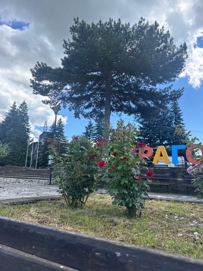 The image shows a bright, sunny day with scattered clouds. In the foreground, a dark wooden bench is visible. Behind the bench, there are two rose bushes with red roses. In the background, large, colorful letters spell out "ДРАГОЕВО". These letters are yellow, orange, blue, and pink. Behind the letters, a building with flags in front of it is visible, along with a tall communication tower. Several evergreen trees are present, along with a large pine tree in the center of the frame. The ground is covered with patches of grass and dry earth.