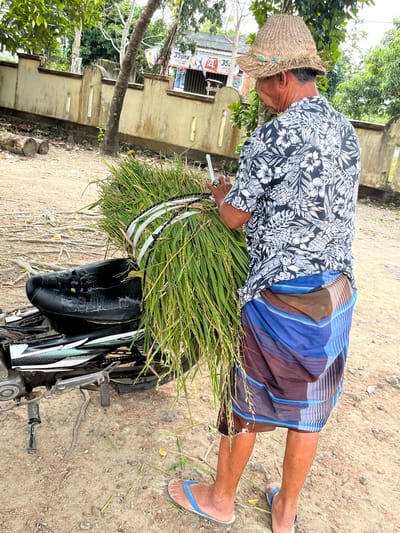In Tanakawu, Indonesia, a man, viewed from behind, stands next to a motorcycle loaded with a bundle of rice stalks. He wears a straw hat, a patterned short-sleeved shirt, and a sarong with blue and brown stripes. His left hand holds a tool, possibly a knife, near the rice bundle. The motorcycle is parked on a dirt ground with scattered debris. A textured yellow wall with rectangular openings runs along the background, partially obscured by trees. A sign with text is visible above the wall. The environment appears to be outdoors, likely a rural or semi-rural area.