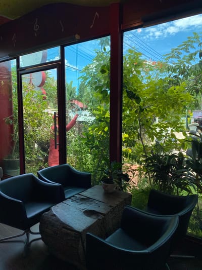 The image captures an indoor scene with a large window overlooking a lush, green outdoor environment. The window frame is dark, and the glass reflects the sky, clouds, and trees. On the left side of the interior, a red wall is visible, decorated with white musical notes. The interior features black leather armchairs arranged around a rustic, wooden table that appears to be made from a tree stump. A small potted plant sits on the table. Through the window, an assortment of vibrant green foliage is prominent, with some trees bearing red flowers. In the background, power lines are visible against a bright blue sky. A red-clad figure, possibly a mannequin or statue, is partially visible through the glass door on the left, situated amongst the plants. Signs with text, including Thai script and "FOOD-DRINK," are discernible in the distance. The overall impression is of a cozy seating area adjacent to a garden or natural setting. The context provided specifies the location as Bang Sare, Thailand.
