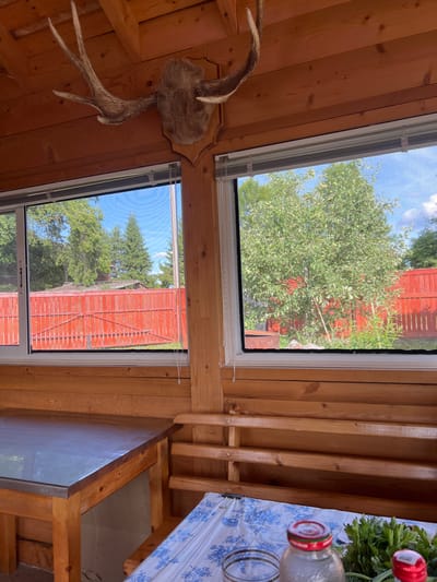The image depicts the interior of a rustic wooden structure, possibly a porch or a cabin, with large windows offering a view of an outdoor setting. Mounted on the wooden-paneled ceiling is a taxidermied animal head with large antlers. In the foreground, to the left, is a wooden table with a metal top. To the right, a wooden bench is visible, and on it, a table covered with a blue and white patterned cloth. Several items are placed on this table, including two glass jars with red lids, one of which is partially obscured by a bunch of green herbs. The windows reveal a sunny outdoor scene with a bright red wooden fence, lush green trees, and a clear blue sky. The overall impression is one of a simple, rural or recreational space.