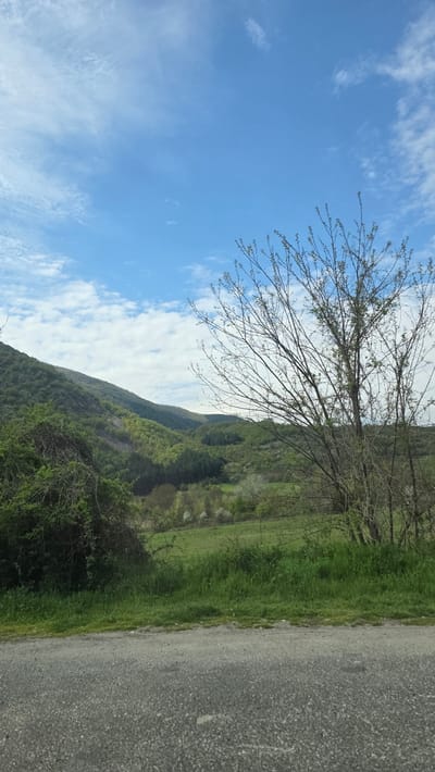 The image shows a landscape with a blue sky and scattered clouds on the left. Bare tree branches are visible in the upper center. Adjacent to the tree is a green grassy area and foliage covering a hillside. To the right, a gray asphalt road surface is visible. The location is in Poleto, Bulgaria.