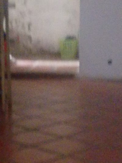 The image depicts an indoor scene, possibly a room or hallway. The flooring appears to be a dark, textured material, possibly wood or tile with a reddish-brown hue. In the mid-ground, a long, pale, cylindrical object is visible, possibly a roll of carpet or fabric, positioned horizontally across the frame. To the left, a vertical element, likely a door frame or wall, is present with some indistinct color variations, suggesting it might be part of a doorway or structure. In the background, a pale, textured wall dominates the upper portion of the image. A bright green object, resembling a trash can or a container, is situated against this wall, slightly to the right of the center. The overall lighting is dim, and the image has a grainy quality, obscuring fine details. The specific location in Atamo Sur, Venezuela, cannot be determined from the visual information provided in the image itself.
