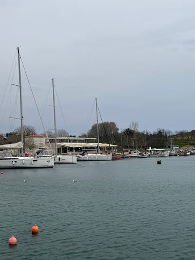 The scene depicts a marina in Limenas Avdiron, Greece, under an overcast sky. The upper third of the image is dominated by a uniform, light grey, cloudy sky. The lower two-thirds consists of dark teal-green water with a rippled surface.
In the foreground, two spherical buoys, one pink and one orange, float in the lower-left. Mid-ground, a line of boats is moored along the shore. Three large white sailboats with tall, bare masts and visible rigging are prominent on the left and center-left. Their hulls are white, and some deck areas are covered with grey tarps. To the right of these sailboats, a series of smaller vessels are moored, including a red-hulled boat and several white fishing or utility boats. A black rectangular buoy floats in the water among these smaller boats.
The shoreline features a light-colored building complex with a substantial white or cream-colored canopy structure extending over a patio area, suggestive of a restaurant or cafe. Behind and to the right of the buildings, deciduous trees, mostly bare or with nascent foliage, line the shore. A patch of green vegetation is visible on a gentle slope on the far right.
Three white birds, likely gulls, are present; two are floating on the water in the mid-left foreground, and one is perched near the top of the leftmost sailboat's mast. No human figures are discernible. All boats are stationary and appear to be moored.