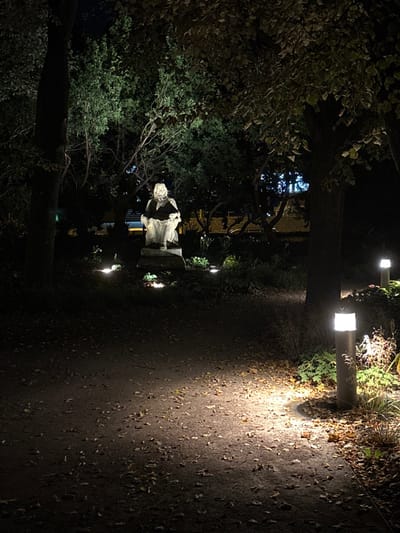 The image depicts a nocturnal scene within Kmochovo nábřeží park in Kolín, Czechia. A light-colored statue of a seated, bearded male figure, identified as František Kmoch, rests on a stone pedestal in the midground, illuminated by multiple ground-level spotlights. These lights cast upward beams onto the statue and surrounding low-lying foliage. A dark, unpaved path, strewn with fallen leaves, occupies the foreground and recedes toward the statue. Two grey, cylindrical bollard lights with white glowing tops are positioned along the right edge of the path, casting distinct pools of light onto the ground and adjacent vegetation. Dense trees and shrubs form a dark backdrop and flank the path, with some distant foliage faintly illuminated. No human figures are present. The scene is artificially lit, suggesting a cultivated park environment at night.