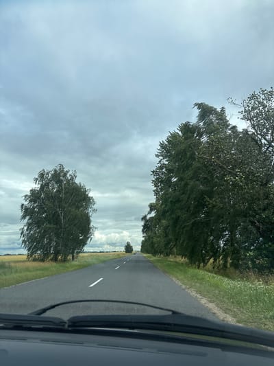 The image depicts a view from a vehicle traveling on a two-lane asphalt road in a rural area, likely in or near Грозаўскі сельскі Савет, Belarus, under a cloudy sky. The road is lined with mature trees on both sides, creating a canopy effect in some sections. To the left, a large, bushy deciduous tree, possibly a birch, stands prominently in a field of dry, golden grass. To the right, a dense row of dark green deciduous trees with leafy branches stretches along the roadside. The road itself has a white dashed line marking the center and a solid white line on the right edge. In the distance, the road recedes, with a few more trees and fields visible, and a small vehicle can be seen further down the road. The foreground shows the windshield and wipers of the vehicle from which the image was taken. The overall impression is of a journey through a somewhat overcast, natural landscape.