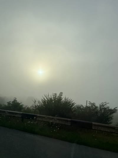 The image depicts a foggy outdoor scene, likely in the city of Dibrova, Ukraine, during daytime. The sun is visible as a bright, diffused orb in the upper left quadrant of the sky, casting a hazy light through the thick fog. In the foreground, a section of a road is visible, with a guardrail running along its edge. The guardrail is dark with lighter sections and appears to be slightly weathered. Beyond the guardrail, there is a strip of grassy ground with some scattered white flowers. A dense cluster of trees and bushes forms a natural barrier behind the guardrail, their foliage mostly obscured by the fog. The overall atmosphere is serene and somewhat mysterious due to the heavy fog, which significantly limits visibility and softens the landscape.