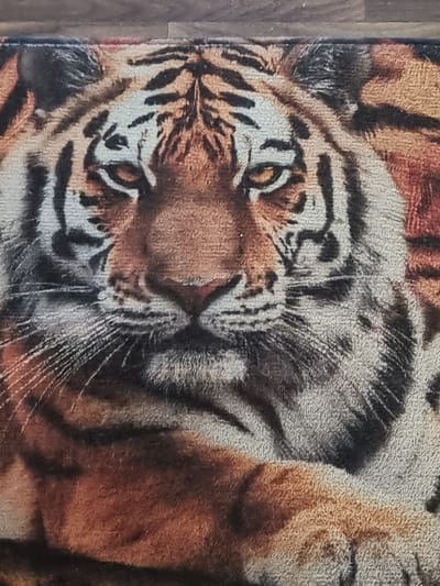 The image is a close-up, head-on view of a tiger's face depicted on a textured rug. The tiger's fur is rendered in shades of orange, black, white, and brown, with distinct stripes visible on its forehead, cheeks, and around its eyes. The tiger's eyes are a striking amber color, and its whiskers are long and white. The rug appears to be lying on a wooden floor, as indicated by the visible wood grain texture at the top of the image. There are no people or actions depicted in the image. The location in Žygaičiai, Lithuania is not discernible from the image itself.