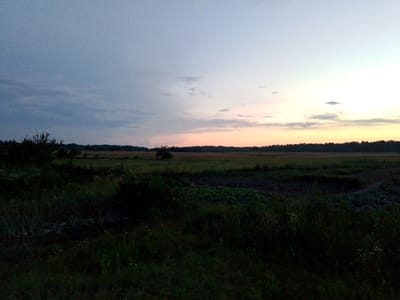 This is a wide shot of a rural landscape in Redkivka, Ukraine, at dusk. The sky is a gradient of soft blues and oranges, with wispy clouds scattered across it. The horizon is lined with a dark band of trees, and below that, a vast expanse of fields stretches into the distance. The foreground is dominated by dark, shadowy vegetation, with hints of cultivated plants and grasses visible. No people or structures are present in the image.