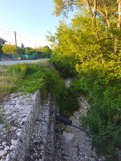 This media file captures a sunlit outdoor scene in Campochiaro, Italy, likely in the late afternoon due to the warm, golden light illuminating the lush green foliage. The setting appears to be a rural or semi-rural area, with a road or path visible in the upper left portion of the image, bordered by a blue metal fence and a green mesh fence. Power lines and a utility pole are also present, suggesting proximity to infrastructure.

The foreground is dominated by a drainage ditch or gully. One side of the ditch is reinforced with a gabion wall, a structure made of wire mesh filled with rocks, providing stability to the embankment. The other side of the ditch is overgrown with dense green vegetation, including trees and smaller plants, some of which are adorned with delicate white flowers. A black corrugated pipe, likely part of the drainage system, protrudes from the gabion wall and extends into the dry, rocky bed of the gully. The gully itself is characterized by a scattering of light-colored rocks and pebbles.

The overall mood is serene and natural, bathed in the gentle light of a clear sky. The abundance of greenery suggests a temperate climate and potentially a period of dry weather, as the gully appears to be mostly devoid of water. No people or animals are visible in the frame, and there is no visible text.