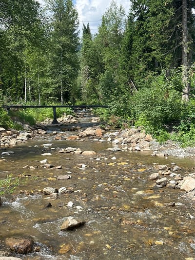 An outdoor scene captures a shallow, rocky stream flowing through a forested area, presumably in Sheregesh, Russia. The stream bed is composed of numerous stones and pebbles of varying sizes and colors. The water appears clear with a slight brown tint, and it ripples and flows over the rocks. On either side of the stream, dense green foliage and trees form a lush forest. A dark, horizontal structure, likely a bridge or walkway, spans the stream in the background, supported by a dark vertical pillar. The sky above is partly cloudy.