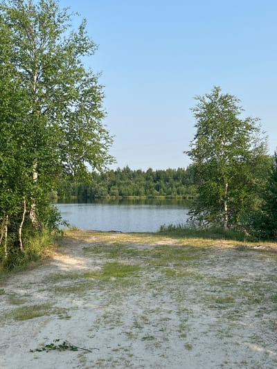 The image depicts a natural scene by a body of water, likely a lake, with a sandy bank in the foreground. The orientation of the image is vertical. Two birch trees with white bark and green foliage frame the left side of the scene. The lake occupies the mid-ground, reflecting the dense line of green trees that form the opposite bank. The sky is clear and pale blue, suggesting a daytime setting, likely morning or late afternoon given the soft lighting. The sandy bank to the right of the lake is partly covered with sparse green grass and shows some tire tracks. The overall atmosphere is serene and peaceful. There is no visible text in the image. The location is identified as Noyabrsk, Russia.