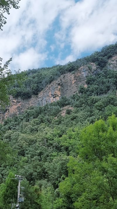 The image shows a steep, wooded mountainside with a rocky cliff face partially visible. The lower portion of the image is dominated by lush green trees, forming a dense forest. Above the trees, a rugged, textured rock formation rises, interspersed with patches of vegetation. The sky above is a clear blue with scattered white clouds. In the lower left corner, a utility pole with electrical equipment is visible, suggesting the presence of human infrastructure near the natural landscape. The scene appears to be located in a rural or natural setting, possibly on the outskirts of Camprodon, Spain, given the mention of the location.