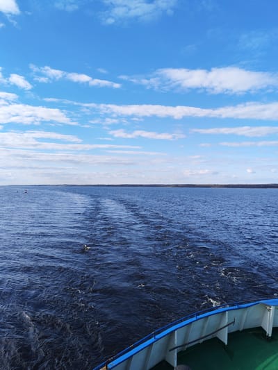 The image presents a wide, serene view from the stern of a boat moving across a vast body of dark blue water, likely a large river or lake, under a bright, partly cloudy sky. The boat's visible stern features a white hull with a prominent blue railing, and a section of green deck is visible in the bottom right corner. Faint, indistinct numbering can be seen on the white hull panel, possibly "258" or "728".
A clear, foamy wake stretches directly behind the boat, receding into the distance and indicating its forward motion. The water surface is textured with ripples and small waves. In the distance, a low, dark band of land, appearing to be a forested shoreline, extends across the horizon. A red and white navigational buoy is visible on the left side of the water, situated between the boat and the distant shore.
The sky is a brilliant blue, filled with scattered white clouds, primarily cumulus and stratocumulus types, some forming elongated bands. The weather appears fair and sunny, suggesting a pleasant day, likely morning or afternoon, given the clear visibility and bright light. No people are visible in the scene. A small, indistinct white object floats in the water near the boat's wake on the right. Based on the provided context, the location is near Shchetinskoe, Russia.