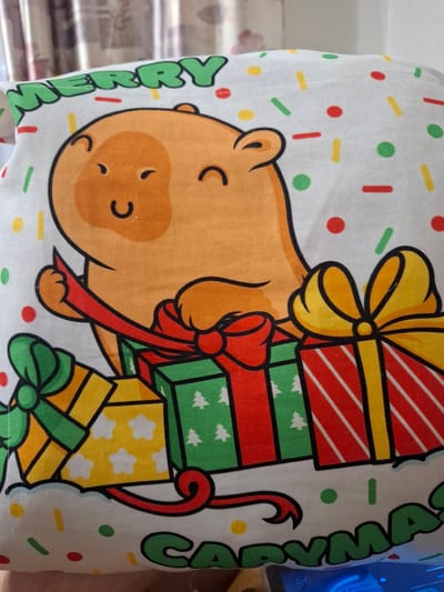 The image shows a close-up of a white fabric with a Christmas-themed cartoon print. The print features a happy-looking orange capybara character surrounded by gift boxes. The capybara is giving a thumbs-up gesture. The fabric is decorated with colorful confetti dots and lines in red, green, yellow, and white. Text reading "MERRY" in green letters is visible at the top, and partially visible text at the bottom appears to say "CAPYMAS". The fabric appears to be part of a pillow or a similar decorative item. The background shows blurred curtains. There is no identifiable location in the city of Novlyanka, Russia, visible in this image.