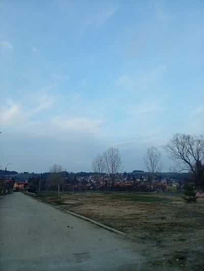 The scene depicts an outdoor environment in Gorni Okol, Bulgaria, under a pale blue sky with wispy white cirrus clouds. An unpaved, light grey road with minor debris extends diagonally from the lower-left to the mid-left, bordered by a low concrete curb on its right. Adjacent to the curb lies an expansive, uneven plot of ground featuring exposed brown earth and sparse, dry greenish-brown vegetation. Five leafless deciduous trees and one small conifer tree are distributed across this plot. A dark, thin fence line horizontally divides the mid-ground. The background displays a village or small settlement on rolling, tree-covered hills, composed of numerous structures with reddish-orange tiled roofs. A single streetlamp pole is partially visible on the far left of the road. No individuals or active subjects are present. The lighting suggests either dawn or dusk.