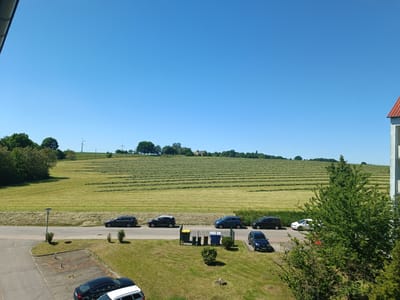 The image shows an elevated view in Lunzenau, Germany, on a sunny day. A large field with rows of cut grass stretches towards the horizon under a clear blue sky. A road runs along the edge of the field, with several parked cars. In front of the road, there is a patch of green lawn. In the lower portion of the frame are a parking lot and more greenery with trees and bushes. A few wind turbines can be seen in the distance.