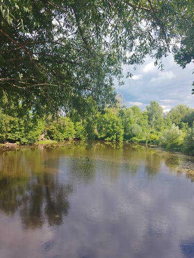 The image depicts a serene natural landscape with a body of water, likely a pond or lake, surrounded by lush green trees. The foreground is dominated by the dark, reflective surface of the water, which mirrors the trees and the sky. Overhanging branches with green leaves frame the top portion of the image, creating a sense of enclosure. The background features a dense line of trees along the water's edge, with varied shades of green indicating different types of foliage and the play of light and shadow. The sky above is partly cloudy, with patches of blue visible between the white and gray clouds. The scene is set in Kotelva, Ukraine, presenting a tranquil natural setting typical of the region. There are no people or animals visible in the image.