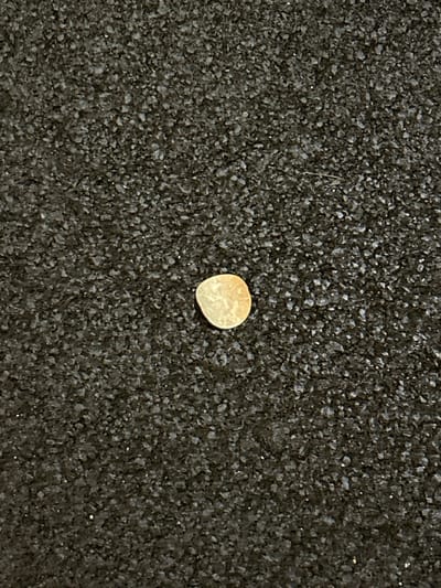 A single, small, light-colored, and irregular disk rests on a dark, textured surface. The surface is comprised of many small, irregularly shaped dark granules. The disk appears to be slightly worn or damaged, with an uneven edge. Its coloration is a muted, pale gold or tan. The disk contrasts sharply with the dark background, making it the focal point of the image.