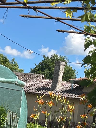 An outdoor, slightly high-angle shot captures a residential rooftop with terracotta tiles under a bright blue sky scattered with white clouds. A light green mesh structure is visible on the left side of the frame, partially obscuring the roofline. A weathered, grey stone chimney stands prominently on the roof. In the foreground, orange daylily flowers bloom. A thin black wire stretches across the upper portion of the image, with a small, white object wrapped around it. Green foliage from overhead vines drapes into the frame from the top right. The scene is set in Jitnitsa, Bulgaria.