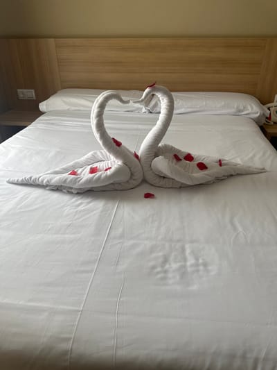 A well-made bed is covered with white linens. Two swans are sculpted from white towels and placed on the bed, adorned with red rose petals. The swans are positioned to appear as if they are facing each other. The scene is set in a room with wooden paneling and a wall outlet visible on the left side of the frame, suggesting a hotel room. The lighting is soft, indicating it might be daytime. There is no visible text in the image.