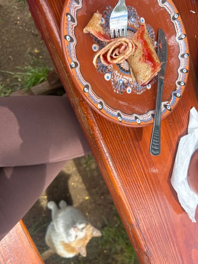 An overhead shot depicts a partially consumed rolled crepe with strawberry jam on a brown earthenware plate with folk-inspired decorative rim, accompanied by a fork and knife. The plate sits on a wooden picnic table. A person wearing brown leggings is seated at the table. A white and tan cat sits on the ground beside the table, looking upward. The scene is likely in Meshtitsa, Bulgaria, given the unique pottery style found in the region. The environment appears to be outdoors, possibly in a restaurant or public space.