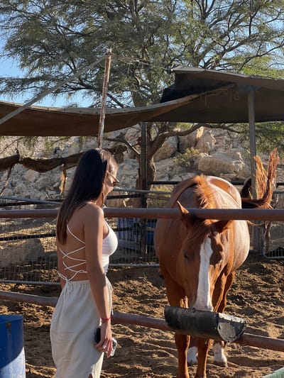 The image portrays an outdoor scene at a horse stable or ranch within the Ramat Negev Regional Council, Israel. A single female individual, viewed from the mid-back and right profile, occupies the left side of the frame. She has long, dark brown hair and is dressed in a white sleeveless top featuring a crisscross strap design on the back, paired with light-colored wide-leg pants. A red string bracelet is visible on her right wrist, which holds a dark-colored smartphone. Her head is turned to the right, directing her gaze towards a brown horse positioned within a fenced enclosure to her right. The horse displays a white blaze on its face and has a brown mane and tail; it stands calmly, partially obscured by horizontal metal fence bars. A black, semicircular feeder is attached to one of the fence bars at the horse's neck level. The ground consists of dry, sandy dirt. The background features rocky hills dotted with sparse vegetation and several acacia-like trees under a clear blue sky. An overhead canopy structure, supported by metal poles, provides shade over part of the scene, with a rusty metal pole visible centrally. A section of a blue barrel is present in the far left foreground.