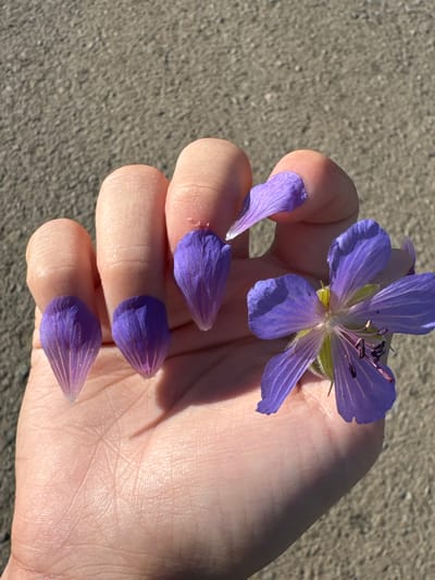 In Mursalimkino, Russia, a close-up shot focuses on a person's hand against a gravelly, paved surface. The hand, with visible lines on the palm, displays a creative manicure where petals of a purple flower have been affixed to the fingernails, resembling ornate nail art. One full purple flower is also held near the thumb, its delicate petals spread open. The background is a textured, sandy-brown surface, suggesting an outdoor setting. The lighting indicates it is daytime, casting shadows on the hand and the ground.