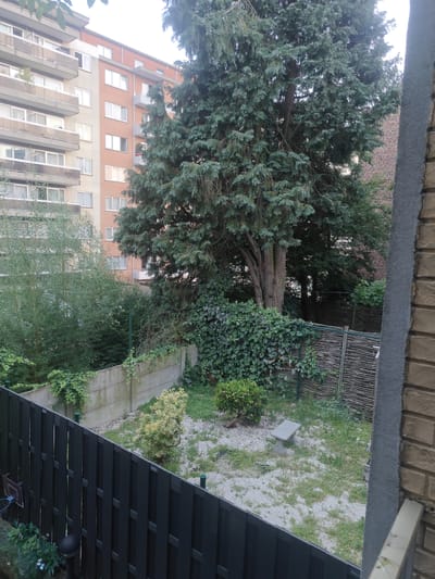 The image captures a side view of a residential backyard in Molenbeek-Saint-Jean - Sint-Jans-Molenbeek, Belgium. A tall, mature evergreen tree dominates the right side of the frame, with its branches extending over a section of the yard. The yard itself is enclosed by a grey concrete wall and a wooden slat fence. A light-colored, stone bench sits in the center of the yard, surrounded by patchy grass and gravel. To the left of the tree, a dense collection of greenery, including ivy, covers the concrete wall and extends along the fence. In the background, a multi-story brick building with several windows is visible. A dark-colored wooden fence runs along the bottom of the frame, partially obscuring a small basketball hoop attached to a pole on the left side. The overall scene depicts a somewhat overgrown urban garden space.