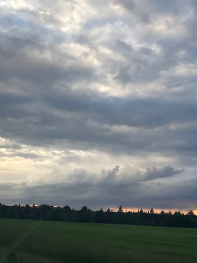 An outdoor, vertical shot captures a vast expanse of sky filled with dynamic, layered clouds. The clouds range in color from bright white to dark gray, with some areas illuminated by an unseen light source, possibly the setting sun. Below the clouds, a dense, dark green line of trees stretches across the horizon, silhouetted against the sky. In the foreground, a lush, vibrant green field occupies the lower portion of the image, with subtle textures suggesting grass and possibly tire tracks. The scene is devoid of any human presence or activity, offering a natural landscape view. The location is identified as the village of Bikbarda, Russia.