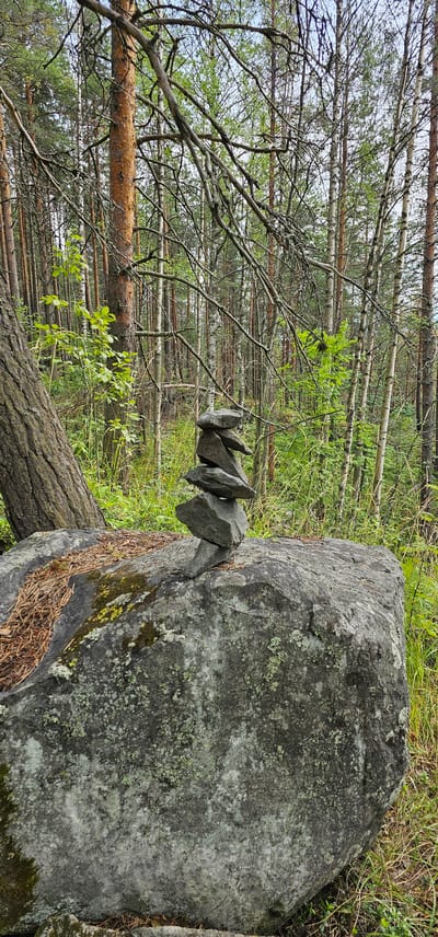 The image depicts a forest scene with a large rock in the foreground, topped by a stack of flat, dark gray stones, possibly an inukshuk or cairn. The rock is rough and appears weathered, with patches of green and white lichen. Behind the rock, a dense forest of pine and birch trees extends into the background under a bright, overcast sky. The ground is covered with dry pine needles and green grass. The overall impression is one of a natural, serene environment, likely a wilderness area. The location is identified as Medvezhyegorsk, Russia, which is known for its surrounding natural beauty, including forests and lakes.