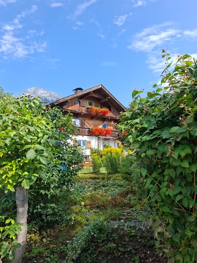 The image shows a traditional wooden house with a white base, set against a backdrop of a clear blue sky with scattered white clouds and a mountain in the distance. The house has a steeply pitched roof with dormer windows and is adorned with balconies overflowing with red flowers. Lush green trees and bushes partially obscure the view of the house, with a small pond or water feature visible in the garden. The overall impression is a serene rural or mountainous landscape.