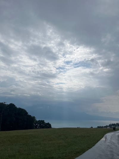 The image displays a panoramic landscape view from an elevated position in Jongny, Switzerland, overlooking Lake Geneva. The scene is dominated by a cloudy sky, featuring various shades of grey and white cloud formations, with a distinct patch of blue sky visible towards the upper center. In the mid-ground, a large body of water, Lake Geneva, extends horizontally, bordered by a distant, hazy mountain range beyond it.
The immediate foreground on the left consists of a dense mass of dark green trees. To the right, a verdant, unmanicured grassy field occupies the mid-ground, sloping gently towards the lake. A dark, wet asphalt road, indicative of recent precipitation, curves along the right edge of the foreground, extending into the distance. Two light-colored vertical posts are visible alongside the road on the right. On the far right, a cluster of residential or commercial structures with light-colored walls and dark roofs is discernible on the distant shore of Lake Geneva. No individuals, vehicles, or animals are present in the frame. The overall light suggests overcast conditions.