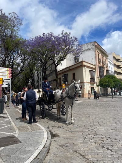 The image captures a street scene in Jerez De La Frontera, Spain. A horse-drawn carriage with a grey horse stands in the foreground, its driver sitting upright. Several pedestrians are nearby, including a couple standing close to the carriage. The street is paved with cobblestones. A large tree with purple flowers adds a splash of color. In the background, buildings of varying heights and architectural styles form the cityscape. The sky is partly cloudy.
