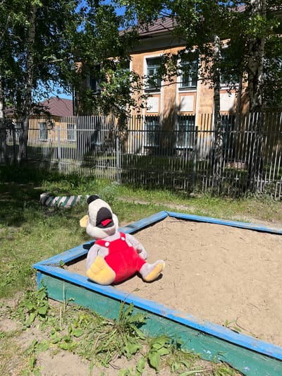 A stuffed toy animal, resembling a dog, is positioned in the center of a sandbox within a courtyard. The toy is wearing a red outfit with straps. The sandbox has a blue and green painted wooden border. In the background, there is a metal fence, lush green grass, and trees. Beyond the fence, an older, two-story building with yellow and beige walls and numerous windows is visible. The scene appears to be in an outdoor public space, possibly a playground, during daylight hours. The location is identified as Guryevsk, Russia.
