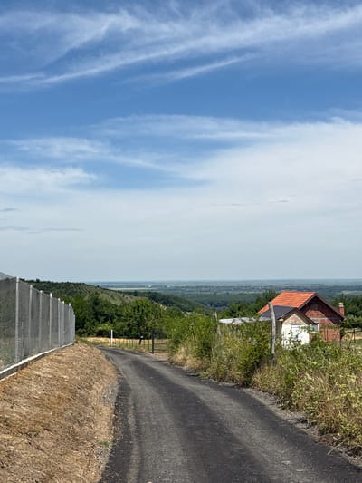 The image presents a panoramic landscape view under a bright, clear blue sky adorned with wispy white cirrus clouds. In the foreground, a dark, unpaved road or path curves from the lower right towards the center, flanked by dry, light brown ground cover and sparse scrubby vegetation. To the left of the road, a long, low structure covered with a white mesh or netting, likely for agricultural purposes such as crop protection from hail or pests, extends into the middle distance.
On the right side of the frame, nestled among green trees and dense bushes, stands a house featuring a prominent reddish-orange tiled roof and light-colored walls. The building appears rustic and is partially hidden by the surrounding foliage. Beyond the immediate foreground, the landscape descends into a vast, verdant expanse of rolling hills and plains that stretch towards a hazy horizon. This extensive greenery suggests a cultivated or forested area, characteristic of an agricultural region like Grocka Urban Municipality in Serbia. The scene is bathed in bright daylight, indicating clear and sunny weather. There are no visible people or text in the image.