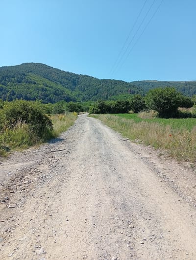 The image depicts a dirt road winding through a rural landscape under a clear blue sky. In the foreground, the road is covered in loose gravel and dirt, with some larger stones scattered along the sides and in the middle, indicating it is an unpaved path. Lush green bushes and tall grasses line the left side of the road, some of which are yellowing, suggesting a dry season.
To the right of the road, there is a field of vibrant green crops, bordered by tall, dry grasses and wildflowers, including a single red poppy. A line of trees forms a backdrop behind the field. Further in the distance, rolling hills covered in dense green forests rise, with some areas appearing darker, possibly due to shade or different types of foliage. The tops of these hills are silhouetted against the bright sky. Three parallel power lines stretch diagonally across the upper portion of the image, originating from the left and disappearing towards the right, suggesting the presence of infrastructure in the vicinity.
The scene is devoid of any people or animals. The overall impression is one of a quiet, natural environment, likely in a rural area of Chelopech, Bulgaria, given the characteristic Balkan landscape with its forested hills and agricultural fields. The bright sunlight suggests it is daytime, likely midday or early afternoon, given the intensity of the light and the clear sky.