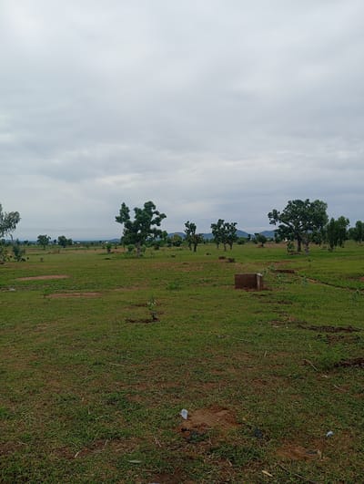 The image depicts a wide, grassy landscape under a cloudy sky, likely in Garin Mallum, Nigeria. The scene is dominated by a vast expanse of green grass, interspersed with patches of bare earth and scattered debris, including what appears to be plastic waste. Several trees of varying sizes and shapes are spread throughout the field, with some larger, more mature trees standing prominently in the middle ground and towards the right of the frame. In the distance, more trees and rolling hills are visible, suggesting a rural or semi-rural environment.
In the middle ground, a small, rectangular concrete structure is visible, possibly a water trough or a foundation. The sky is overcast with thick, gray clouds, indicating a potentially humid or rainy day, and contributing to a subdued, muted lighting. The overall impression is one of an open, somewhat uncultivated field, possibly a common area or a place undergoing development, with the natural elements taking center stage. No people are visible, and the scene appears still and quiet, conveying a sense of natural tranquility. The time of day is indeterminate due to the overcast conditions, but the lighting suggests it is daytime. There is no visible text in the image.
