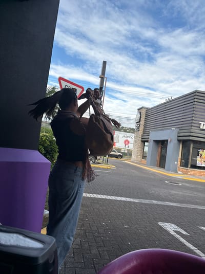 The image shows a woman standing outside of a Taco Bell restaurant in Pozos, Costa Rica. She is wearing a black top, blue jeans, and has long dark hair. She is holding a brown leather bag with a long strap, and is looking towards the right side of the frame. The restaurant is a modern building with a purple and gray exterior. There is a large sign above the entrance to the restaurant that says "Taco Bell" in white letters on a red background. The sign is illuminated by the sun. There are also some vehicles in the parking lot. The pavement is made of brick. The sky is blue with some white clouds. The time is midday. The coordinates provided (latitude: 9.951, longitude: -84.194) indicate that the restaurant is located in Pozos, Costa Rica.
