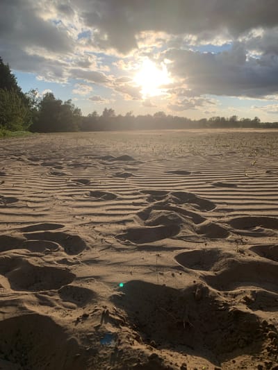 The image shows a sand field with visible rows and footprints, possibly located in or near Varviškė, Lithuania. The foreground has deeper, shadowed footprints, while the background shows rows of tilled sand with sparse vegetation. Trees line the horizon. The sun is visible through the clouds.