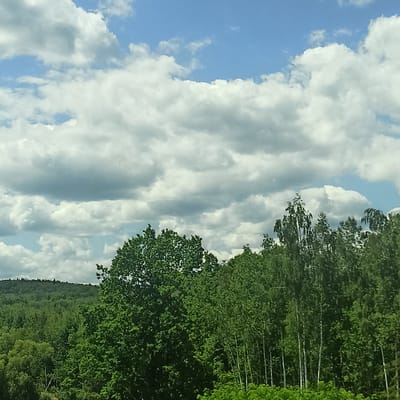The image shows a landscape with a forest and a cloudy sky. The foreground is dominated by lush green trees, with a mix of dense foliage and slender white-barked trees. The middle ground features rolling hills covered in a dense canopy of green trees. The sky above is a vibrant blue, filled with scattered white and grey clouds. The scene depicts a natural environment, likely a rural or forested area, under a dynamic sky. The location in Vicovu de Sus, Romania, is not directly depicted or inferable from the visual elements present in the image.