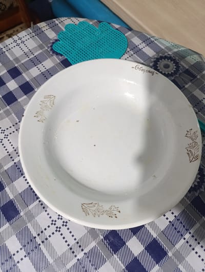A white, slightly dirty plate with a brown floral pattern on the rim is placed on a blue and white checkered tablecloth. A turquoise fly swatter is visible in the upper left corner of the image, resting on the tablecloth. A white plate with a floral rim and a cyrillic inscription "=Общение=" is the main subject. The scene appears to be indoors, possibly in a kitchen or dining area, with the inscription and floral pattern suggesting it's a dish from the city of Nikolskoye, Russia, a place known for its porcelain production.