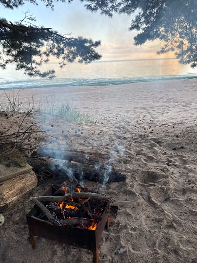 A beach scene at Fort Krasnaya Gorka, Russia, features a bonfire in a rusted metal grill on the sandy shore. The fire burns with orange flames and wisps of white smoke, fueled by several pieces of wood. To the left of the grill, a large, weathered log rests on the sand. The beach extends towards a calm body of water, with the sky above showing pastel hues of a sunset or sunrise, partially obscured by the dark silhouettes of pine branches hanging from the foreground. Sparse green grass grows on a small dune behind the bonfire, and pinecones are scattered across the sand. The overall atmosphere is serene and natural.
