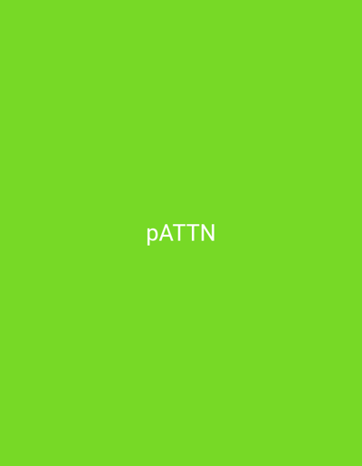 The image is a solid, vibrant green background. Centered on the background are the white letters "pATTN". There are no people, objects, or environmental features present other than the text. The location in the city of Schiffdorf, Germany is not discernible from this image.