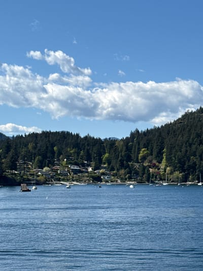The image shows a view of a waterfront area in Bowen Island Municipality, Canada. The scene includes a body of water with visible ripples, a shoreline densely covered with trees and residential properties, and a blue sky with scattered clouds. The properties along the shoreline are varied, including houses and docks with boats. The lighting suggests it is daytime.