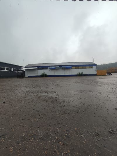 This is a medium shot, exterior, eye-level, daylight photograph taken in Bakaly, Russia. The scene depicts a wet, gravelly outdoor area in front of an industrial building complex on a cloudy, rainy day. The ground is covered in small, varied-colored stones and is wet, with visible puddles and ripples from falling raindrops.
To the left, a dark gray industrial building with a row of windows is visible. Adjacent to it, a white industrial building with a blue trim and a corrugated metal extension is the main focus. This building has several windows with yellow or orange tinted glass, and a blue awning. There are a few sparse green bushes planted in front of this building.
Further to the right, a tall, bright yellow rectangular object stands at the edge of the property. Behind it, a portion of a wooden structure, possibly scaffolding or lumber, is visible. In the far distance, trees can be seen against the overcast sky. The sky is a uniform, pale gray, indicating overcast conditions and rain. The overall impression is one of a working industrial area experiencing inclement weather.